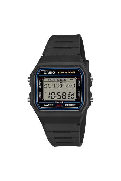 Casio Standard Black Rubber Strap F-B100W-1AEF
