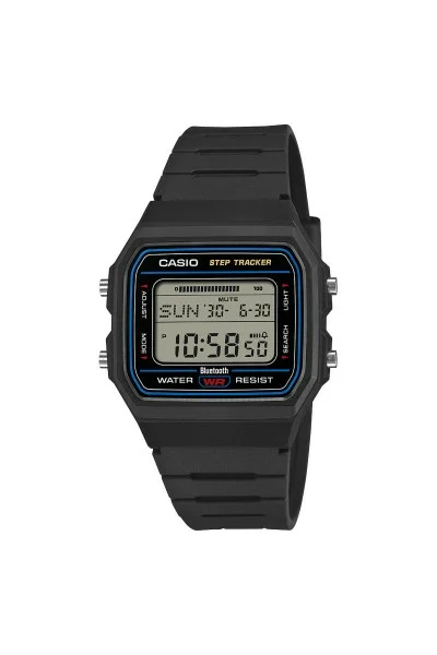 Casio Standard Black Rubber Strap F-B100W-1AEF