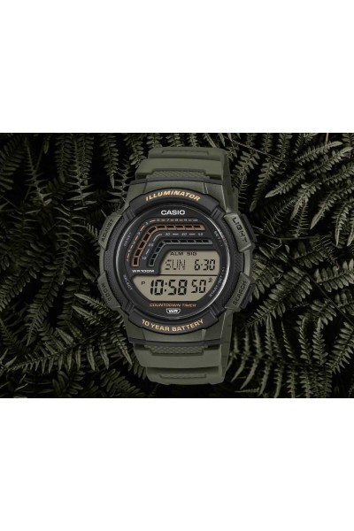 Casio Standard Rubber Strap WS-1800-3AVEF