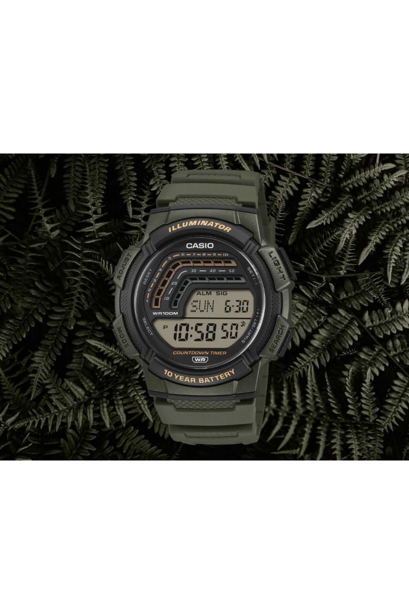 Casio Standard Rubber Strap WS-1800-3AVEF