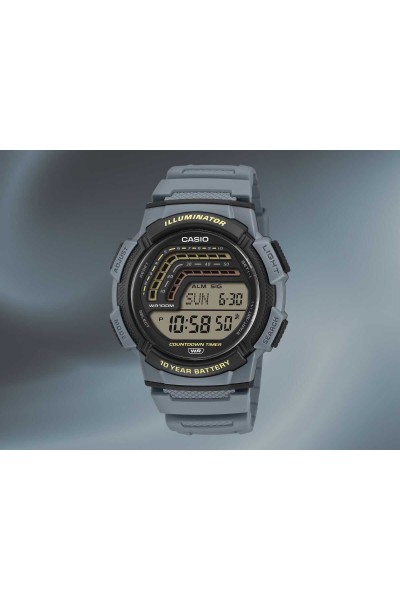 Casio Standard Rubber Strap WS-1800-2AVEF