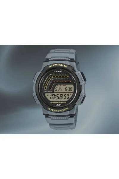 Casio Standard Rubber Strap WS-1800-2AVEF