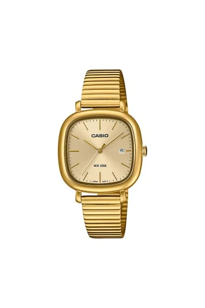 Casio Standard Stainless Steel LTP-B166G-9AVEF