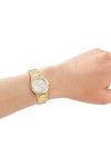 DKNY Essentials Set Ladies' Watch DK1L182M0035