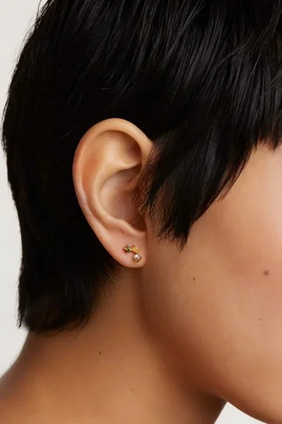 Σκουλαρίκι PD PAOLA Ασήμι Flora Gold