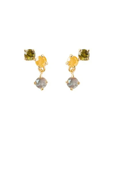 Σκουλαρίκι PD PAOLA Ασήμι Flora Gold