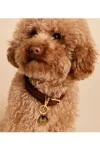 PD PAOLA Letter Pet Charm Γράμμα C
