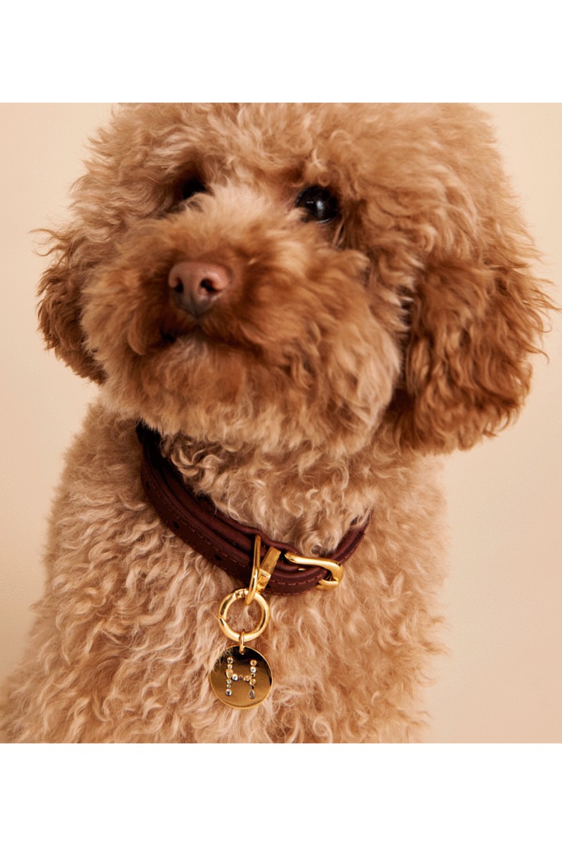 PD PAOLA Letter Pet Charm Γράμμα C