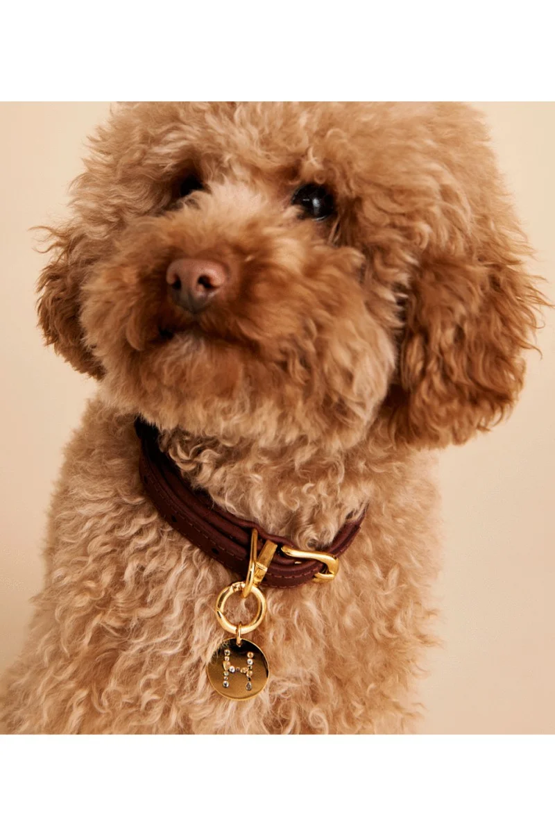 PD PAOLA Letter Pet Charm Γράμμα C