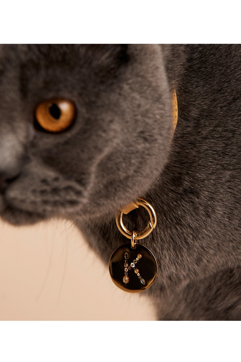 PD PAOLA Letter Pet Charm Γράμμα C