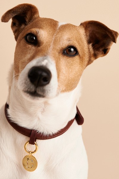 PD PAOLA Letter Pet Charm Γράμμα C & B PD PAOLA Letter Pet Charm Γράμμα C & B