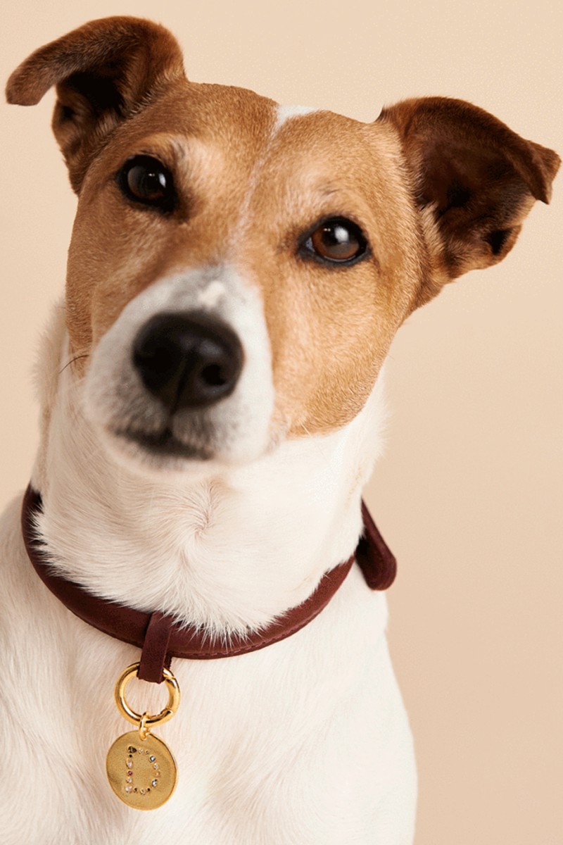 PD PAOLA Letter Pet Charm Γράμμα C