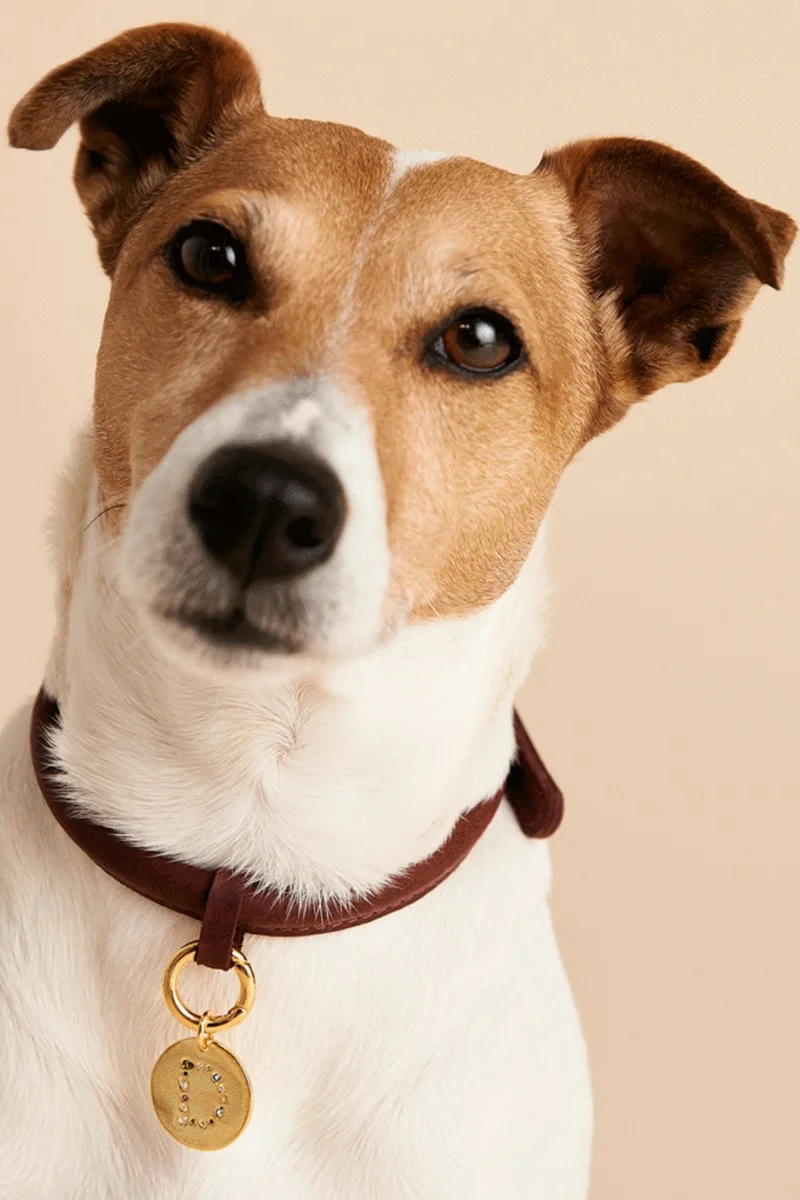 PD PAOLA Letter Pet Charm Γράμμα C