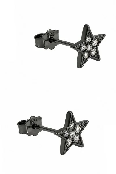 Σκουλαρίκι Ασημένιο Glam Star