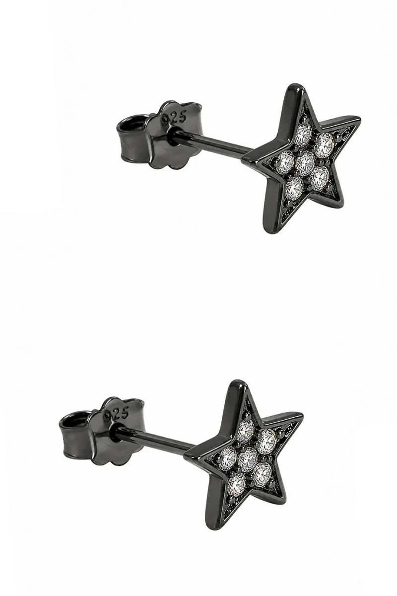 Σκουλαρίκι Ασημένιο Glam Star