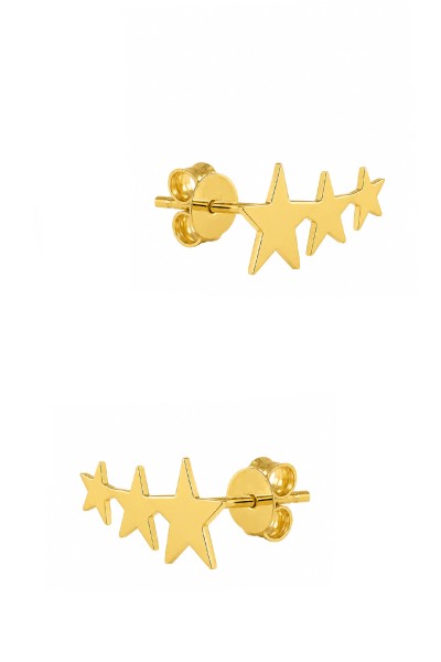Σκουλαρίκι Ασημένιο Star Line